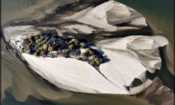 "Barwy natury - oczami ptaka". Wystawa Piotra Krupy