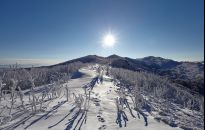 Filmy górskie w Ustrzykach Dolnych