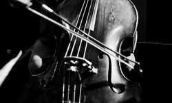 Niedziela ze Szpilmanem w Filharmonii Rzeszowskiej