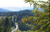 Bukowina. Kraina koniecznie do zobaczenia 