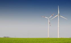 Biznes też może być EKO