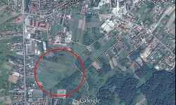 17 ha na wypoczynek na Zalesiu. Trwają konsultacje