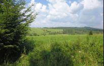 Sianki. Gdzie na Podkarpaciu Piłsudski wczasował