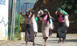 Cejlon. Pięć stopni od Równika