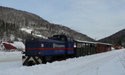 Zimowa podróż bieszczadzką ciuchcią 