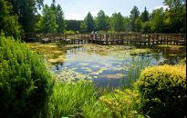 Powitać wiosnę w Arboretum w Bolestraszycach