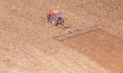 Jaki będzie system płatności bezpośrednich dla rolników do 2020 roku