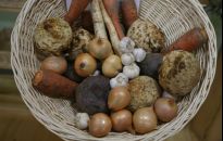 Dowiedz się jak być bardziej konkurencyjnym na rynku