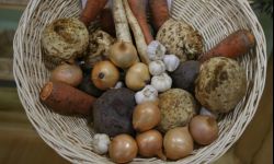 Dowiedz się jak być bardziej konkurencyjnym na rynku