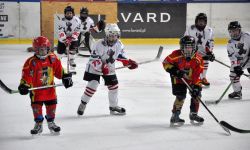 Młodzieżowa Olimpiada na Podkarpaciu