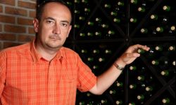  Biznes winoroślowy na Podkarpaciu