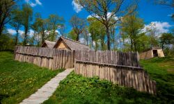 Spędź lato kulturalnie