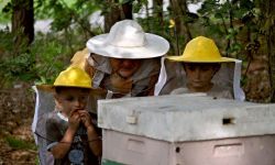 Wielki Dzień Pszczół w Kolbuszowej