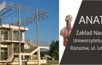 SPiN Day - o nauce w Zakładzie Nauk o Człowieku