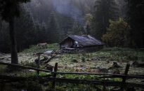 238 fotografii z 41 krajów i Tylko jedno zdjęcie