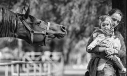 238 fotografii z 41 krajów i Tylko jedno zdjęcie