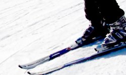 Dobre warunki na podkarpackich stokach