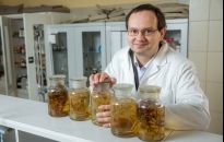 Moda na zioła i leki naturalne trwa od zawsze