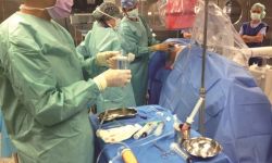 Komórki macierzyste w leczeniu choroby zwyrodnieniowej stawów