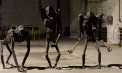 Habitaty Wawrzusiak i więcej Krakowa od jutra w BWA