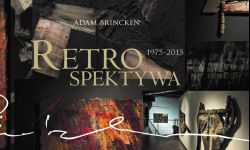 Obiekto-obrazy Adama Brinckena w Stalowej Woli