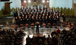 Lato w Mielcu pełne ciekawych koncertów