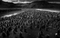 Dzika przyroda Tomasza Gudzowatego w Muzeum Regionalnym w Stalowej 