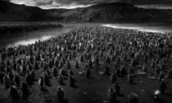 Dzika przyroda Tomasza Gudzowatego w Muzeum Regionalnym w Stalowej 