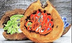 Sztuka włókna - z Arboretum w Bolestraszycach do BWA w Rzeszowie