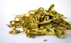 Suszenie ziół dla każdego