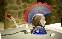 Warto odwiedzić. CDS w Krośnie: niezwykła podróż po świecie szkła