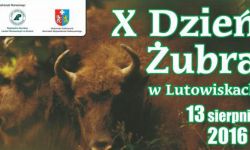 Dzień żubra w Lutowiskach już po raz dziesiąty