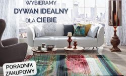 Jaki wybrać dywan i jak go ułożyć w mieszkaniu