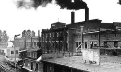 Słynący z izolatorów ZAPEL produkował także filiżanki