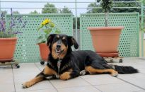 Hydroizolacja tarasu nad pomieszczeniem ogrzewanym - jak ją zrobić