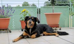 Hydroizolacja tarasu nad pomieszczeniem ogrzewanym - jak ją zrobić