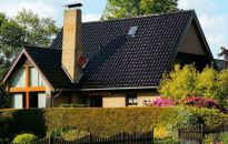 Rośliny na żywopłoty - lepsze iglaki czy liściaste?