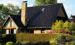 Rośliny na żywopłoty - lepsze iglaki czy liściaste?