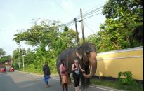 Tropiciele szczęścia. Podróż do przeszłości Rosja - Chiny - Cejlon