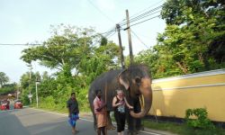 Tropiciele szczęścia. Podróż do przeszłości Rosja - Chiny - Cejlon