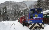 W zimową podróż z Bieszczadzką Kolejką Leśną