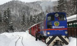 W zimową podróż z Bieszczadzką Kolejką Leśną
