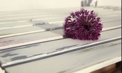 Postarzane meble, czyli wnętrza w stylu shabby chic