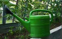 Dlaczego warto uprawiać warzywa pod osłonami