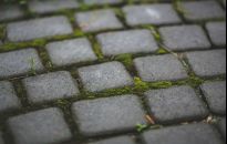 Kostka brukowa - jako element dekoracyjny ogrodu