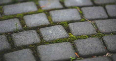 Kostka brukowa - jako element dekoracyjny ogrodu