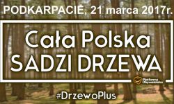 Akcja sadzenia drzew w pierwszy dzień wiosny