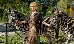 "Azyl" - film na podstawie książki, która ma związek z Podkarpaciem