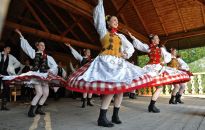 Na czym grali Lasowiacy i Rzeszowiacy? Relikty instrumentów w Kolbuszowej