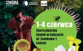 Zobacz rośliny pożerające owady w łańcuckiej Storczykarni